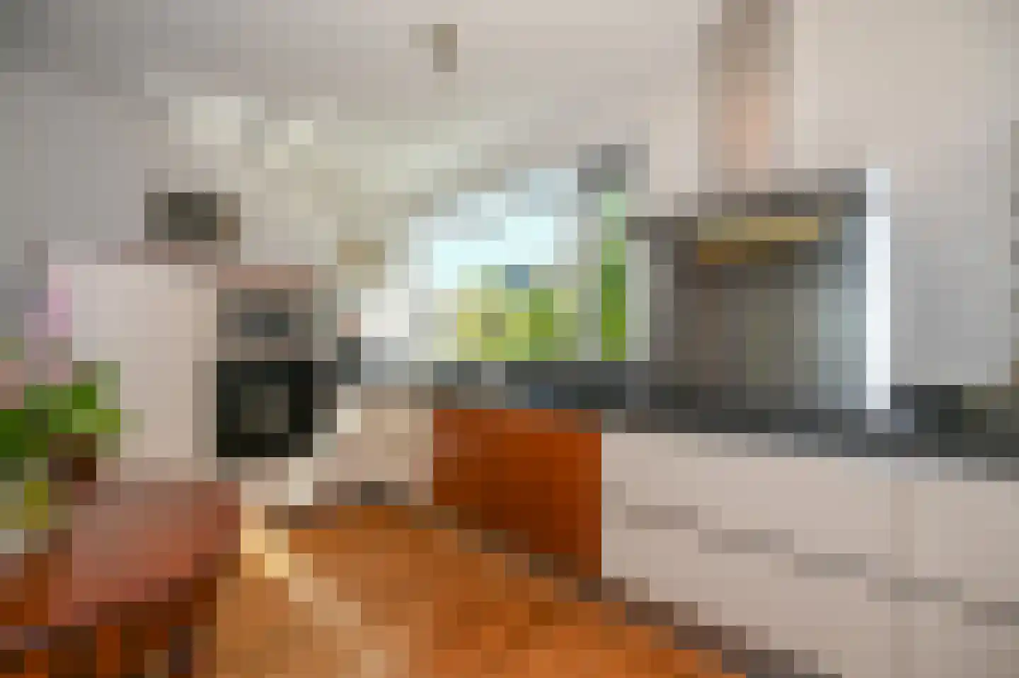 Kaaskenswater 5 Zoetermeer thumbnail 7