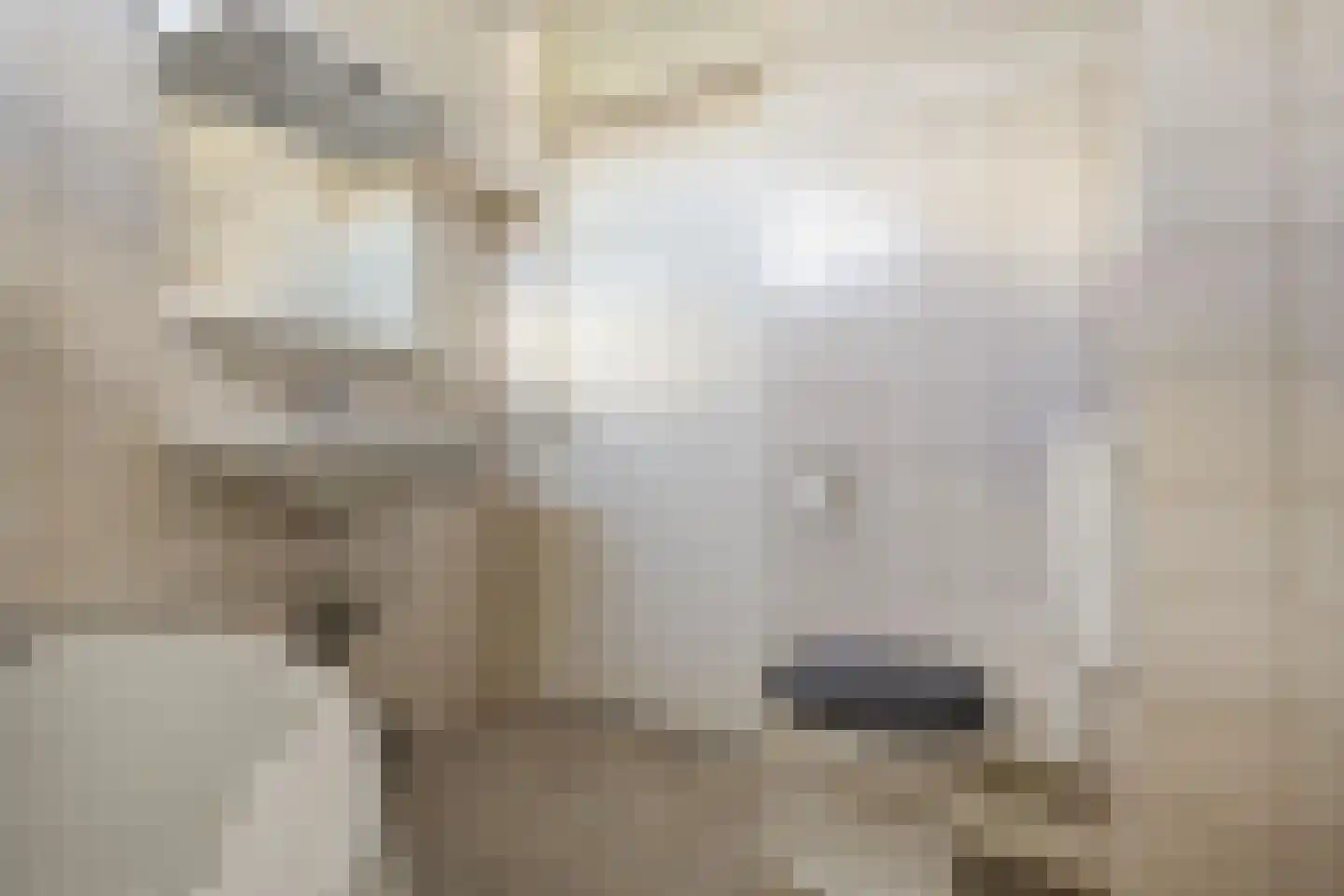 Kaasmaker 14 Assendelft thumbnail 19
