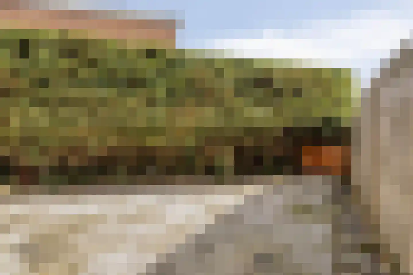 Kaasmaker 14 Assendelft thumbnail 27