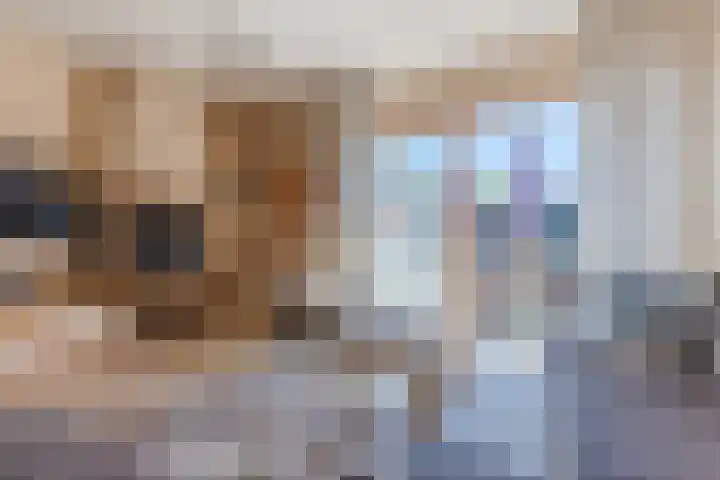 Kaasmaker 20 Assendelft thumbnail 10
