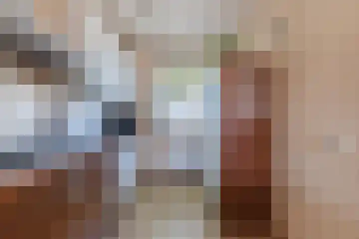 Kaasmaker 20 Assendelft thumbnail 15