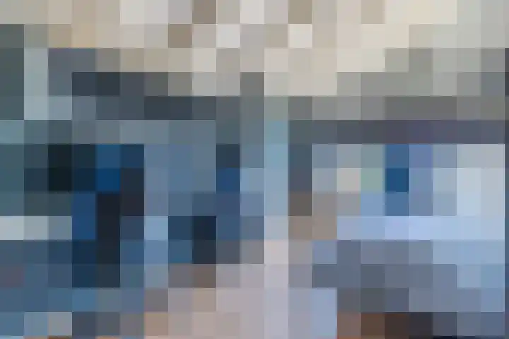 Kaasmaker 20 Assendelft thumbnail 26