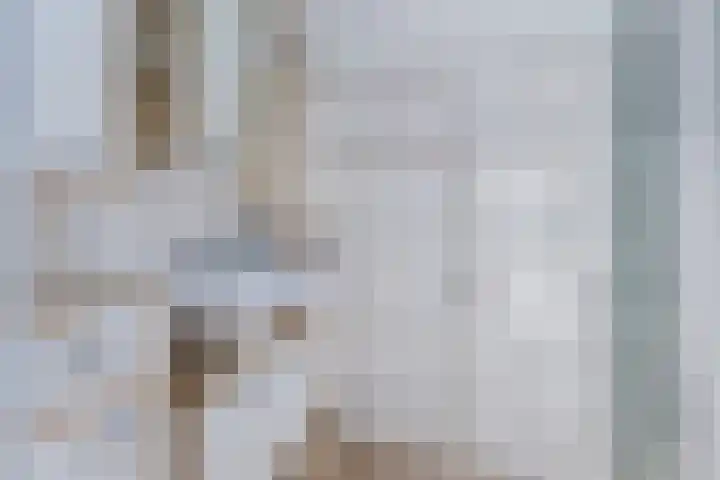 Kaasmaker 20 Assendelft thumbnail 31