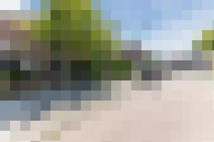 Kaasmaker 20 Assendelft thumbnail 38