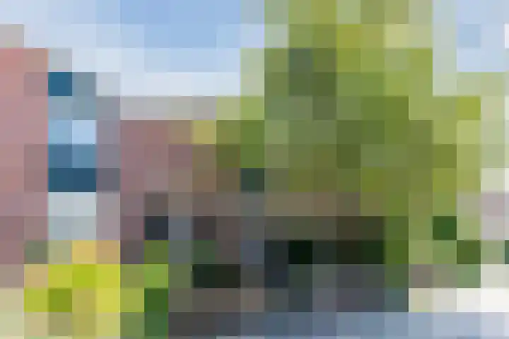 Kaasmaker 20 Assendelft thumbnail 40