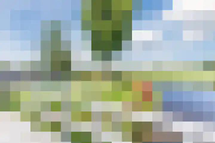 Kaasmaker 20 Assendelft thumbnail 42