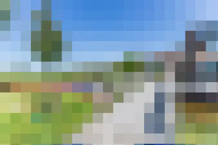 Kaasmaker 20 Assendelft thumbnail 44
