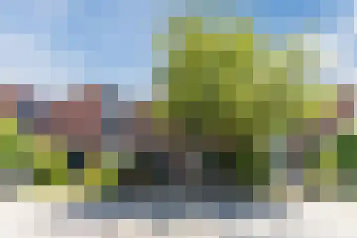 Kaasmaker 20 Assendelft thumbnail 48
