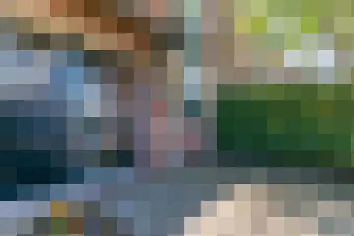 Kaasmaker 20 Assendelft thumbnail 6