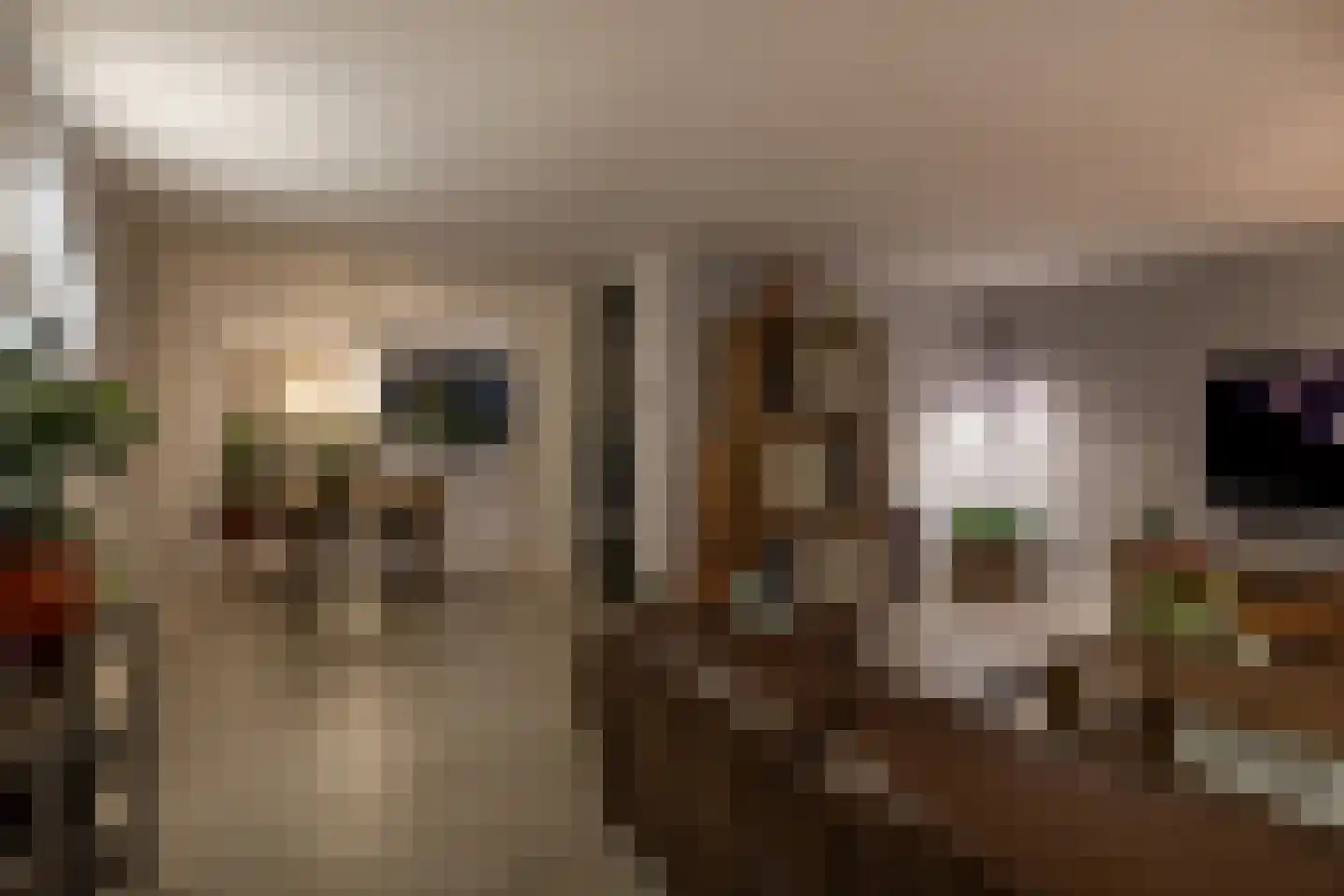 Kaasmaker 40 Poortugaal thumbnail 21