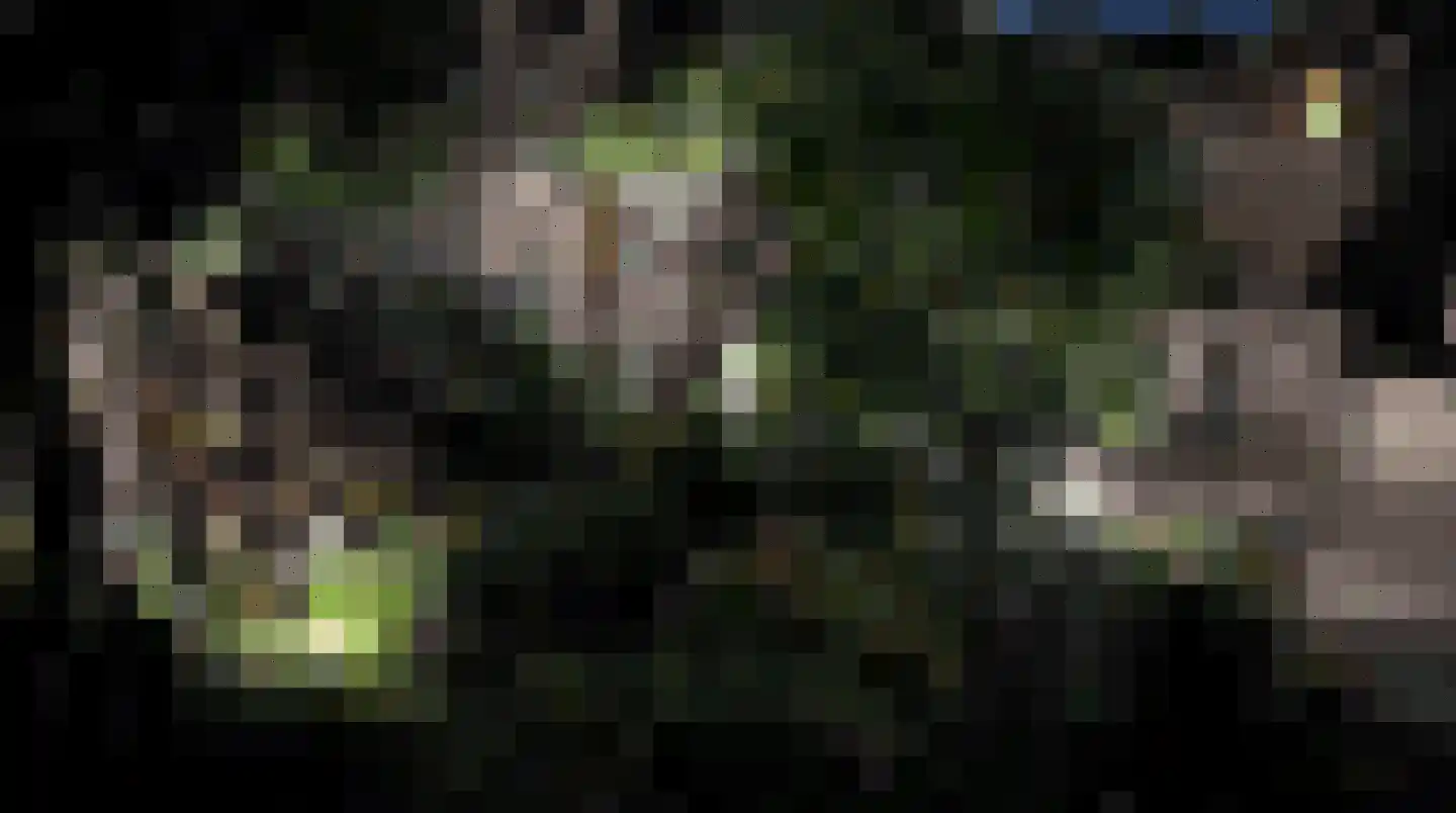 Kaasmaker 40 Poortugaal thumbnail 32