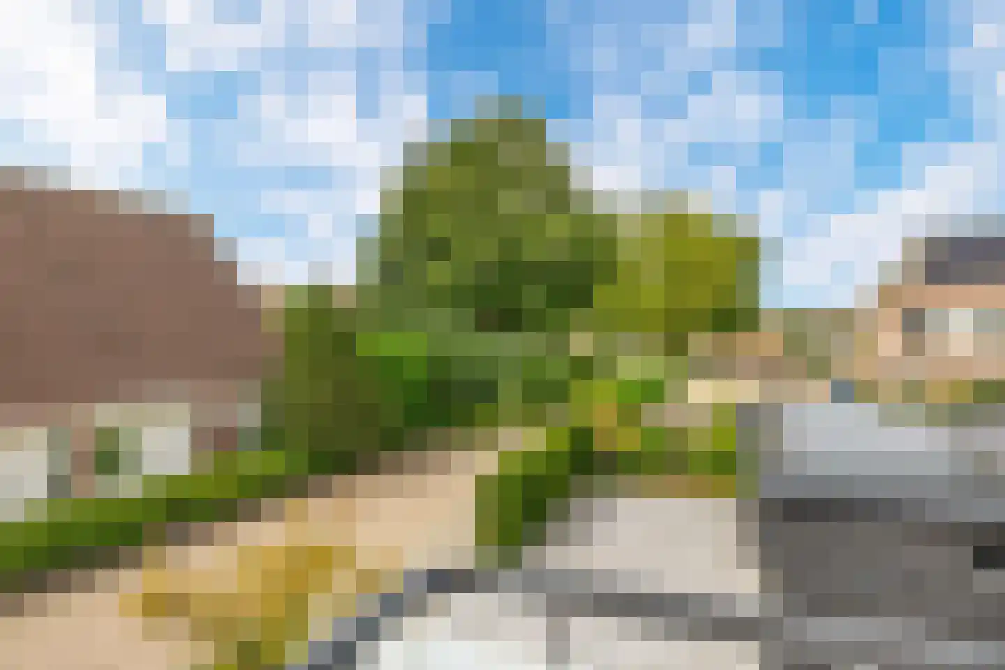 Kaasmaker 40 Poortugaal thumbnail 44
