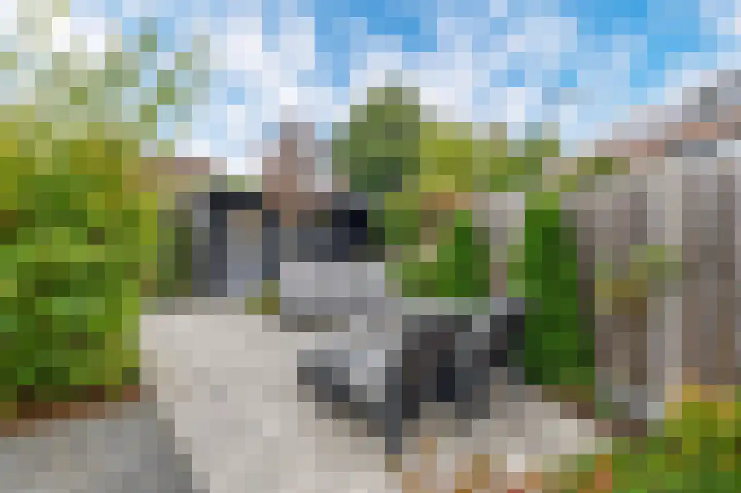 Kaasmaker 40 Poortugaal thumbnail 6