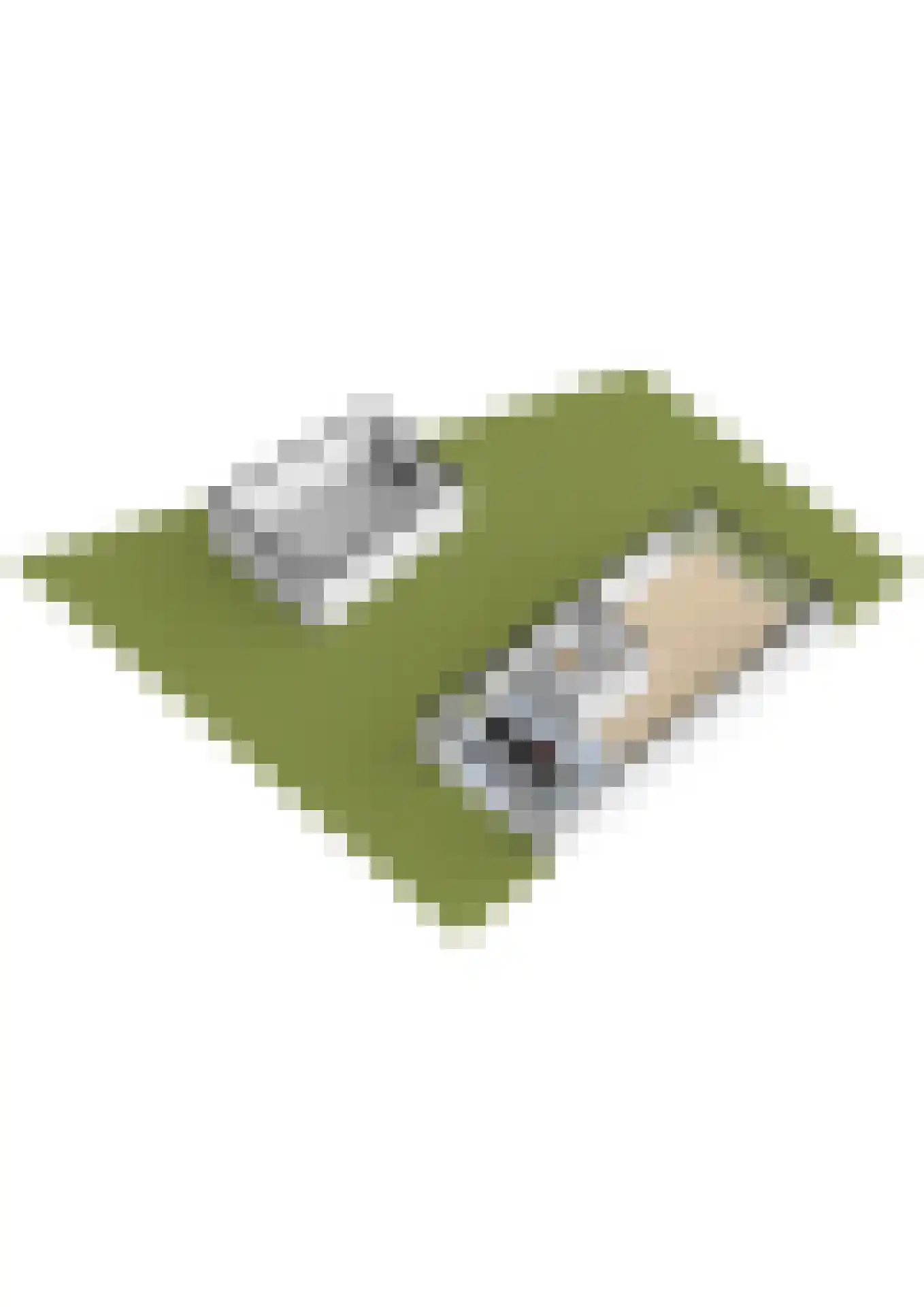 Kaasmaker 40 Poortugaal thumbnail 60