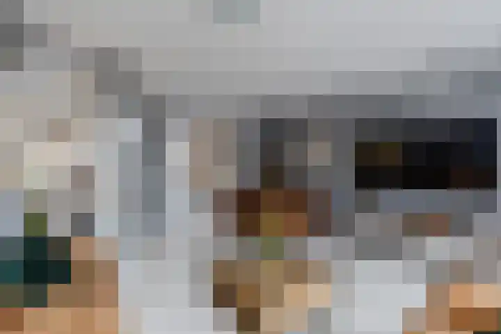 Kaasmaker 47 Assendelft thumbnail 12