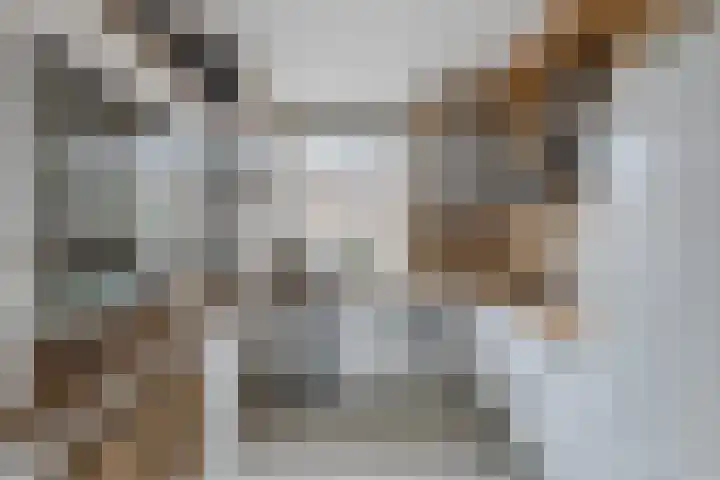 Kaasmaker 47 Assendelft thumbnail 15