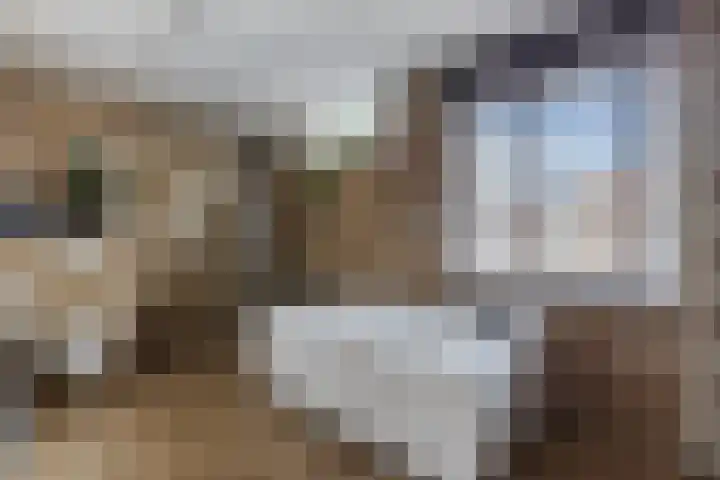 Kaasmaker 47 Assendelft thumbnail 21