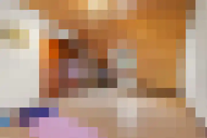 Kaasmaker 47 Assendelft thumbnail 23