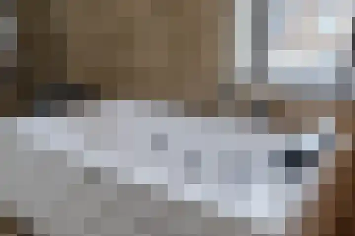 Kaasmaker 47 Assendelft thumbnail 24