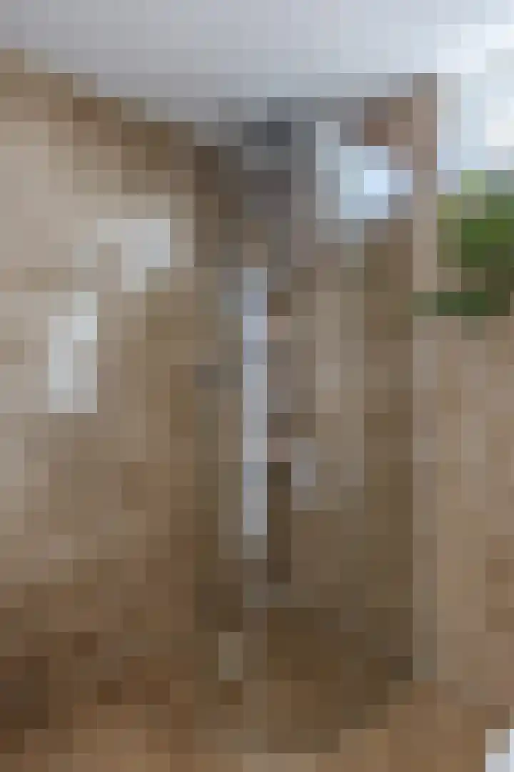 Kaasmaker 47 Assendelft thumbnail 25