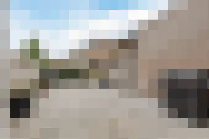 Kaasmaker 47 Assendelft thumbnail 34