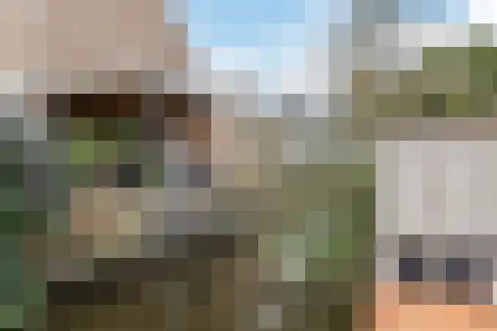 Kaasmaker 47 Assendelft thumbnail 37