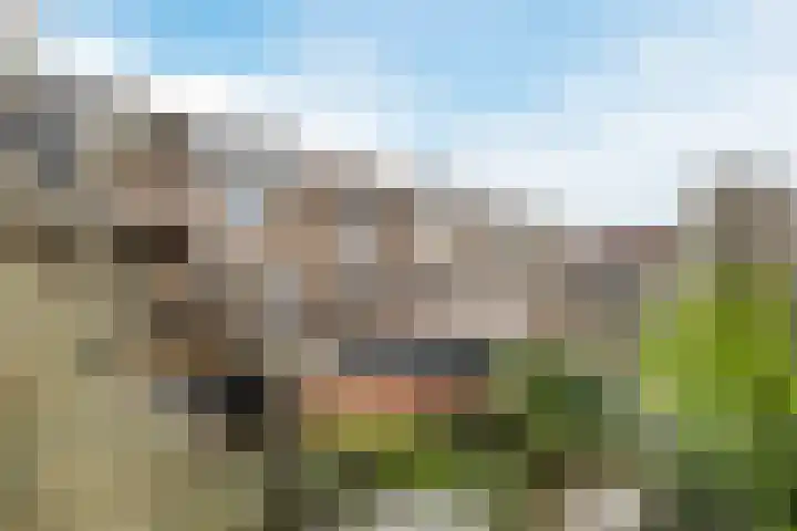 Kaasmaker 47 Assendelft thumbnail 38