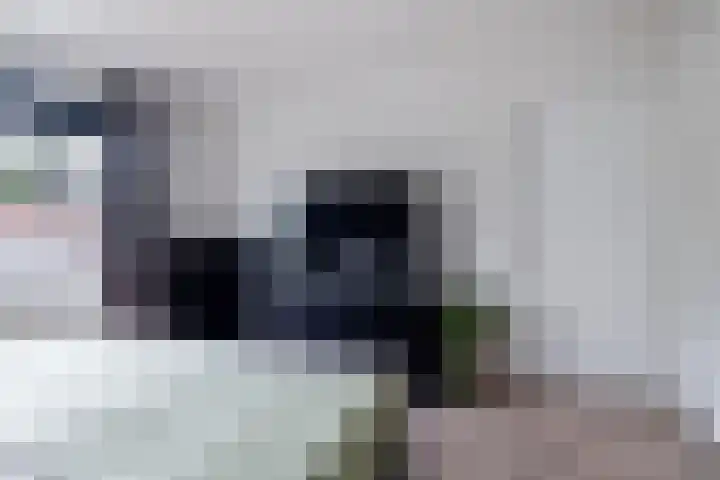 Kaasmaker 47 Assendelft thumbnail 4