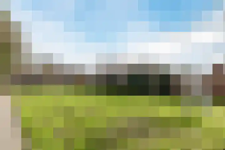 Kaasmaker 47 Assendelft thumbnail 43