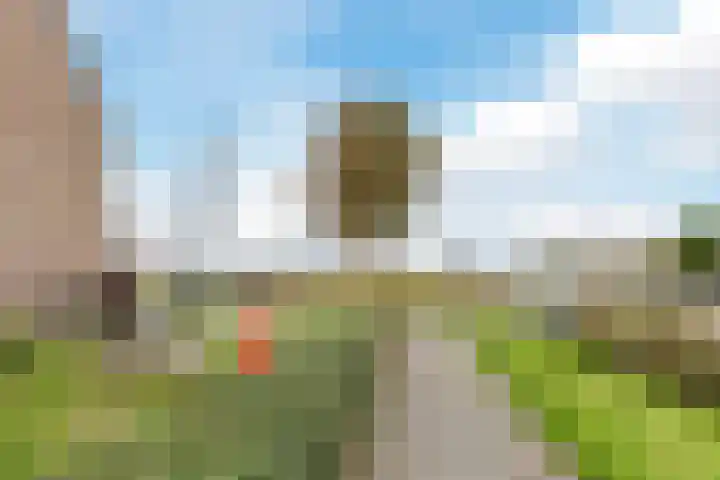 Kaasmaker 47 Assendelft thumbnail 44