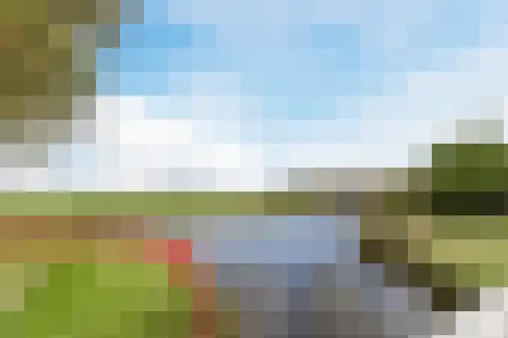 Kaasmaker 47 Assendelft thumbnail 45