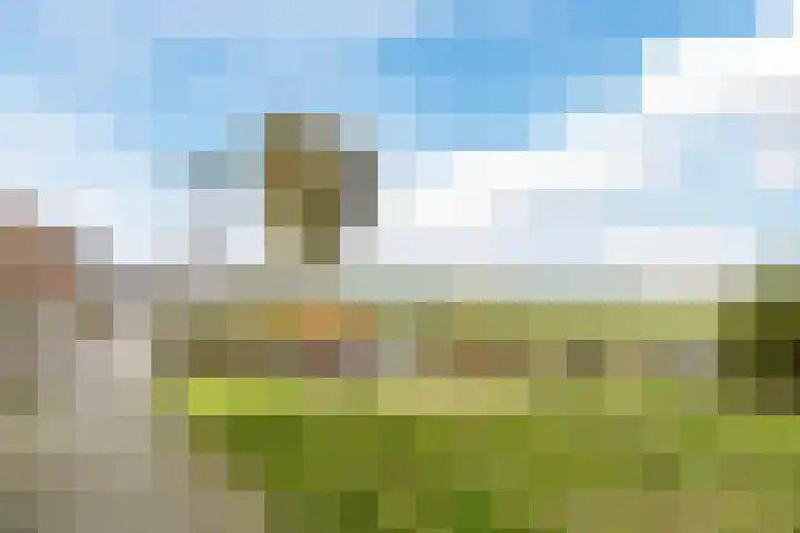 Kaasmaker 47 Assendelft thumbnail 46