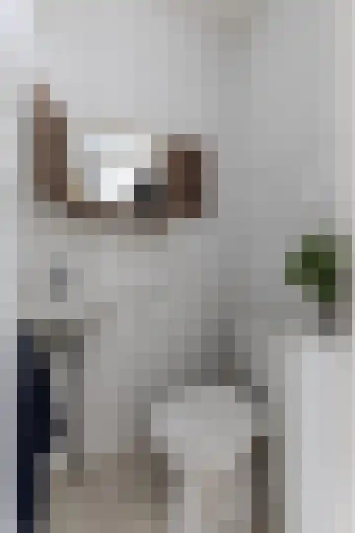 Kaasmaker 47 Assendelft thumbnail 9