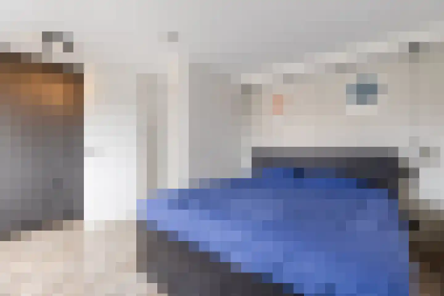 Kaasmaker 49 Assendelft thumbnail 25