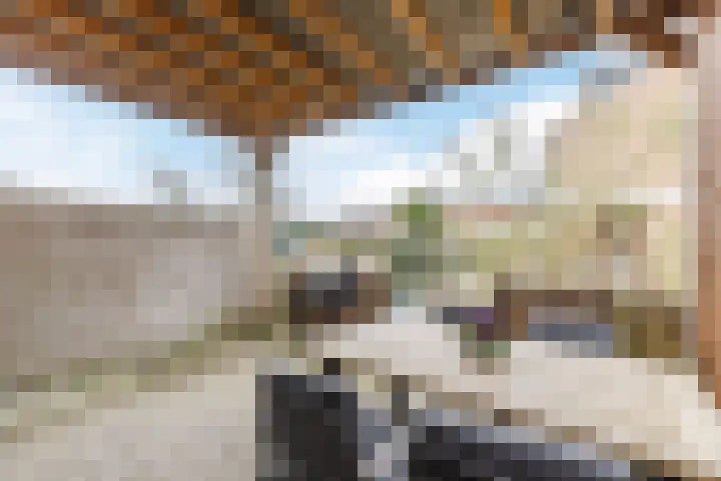 Kaasmaker 49 Assendelft thumbnail 33