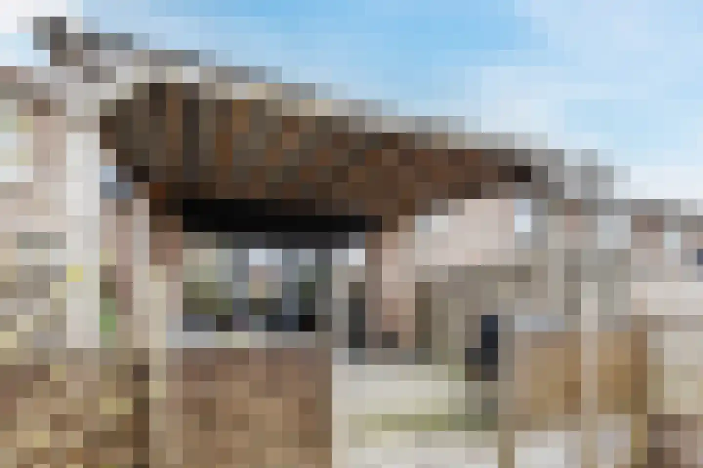 Kaasmaker 49 Assendelft thumbnail 35