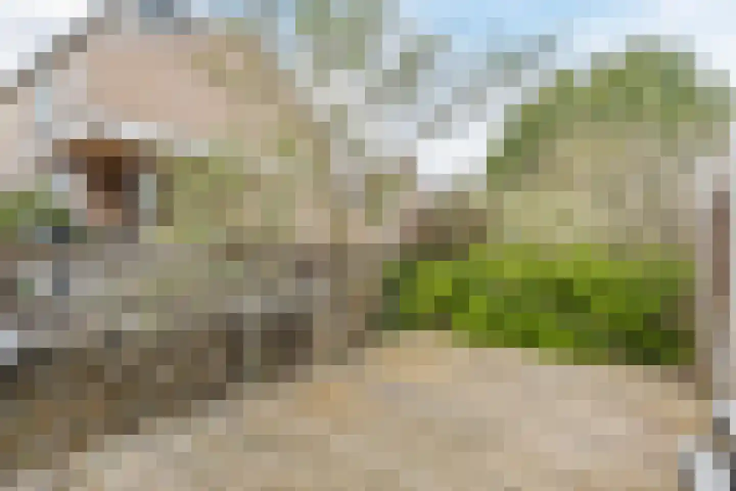 Kaasmaker 49 Assendelft thumbnail 35