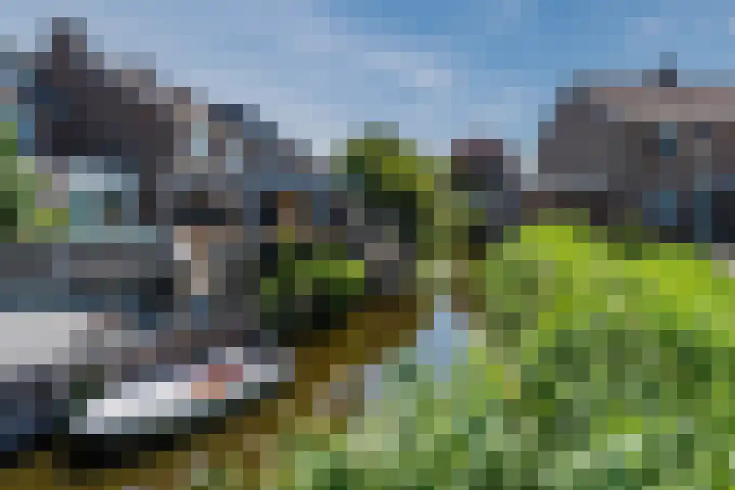 Kaasmaker 49 Assendelft thumbnail 37