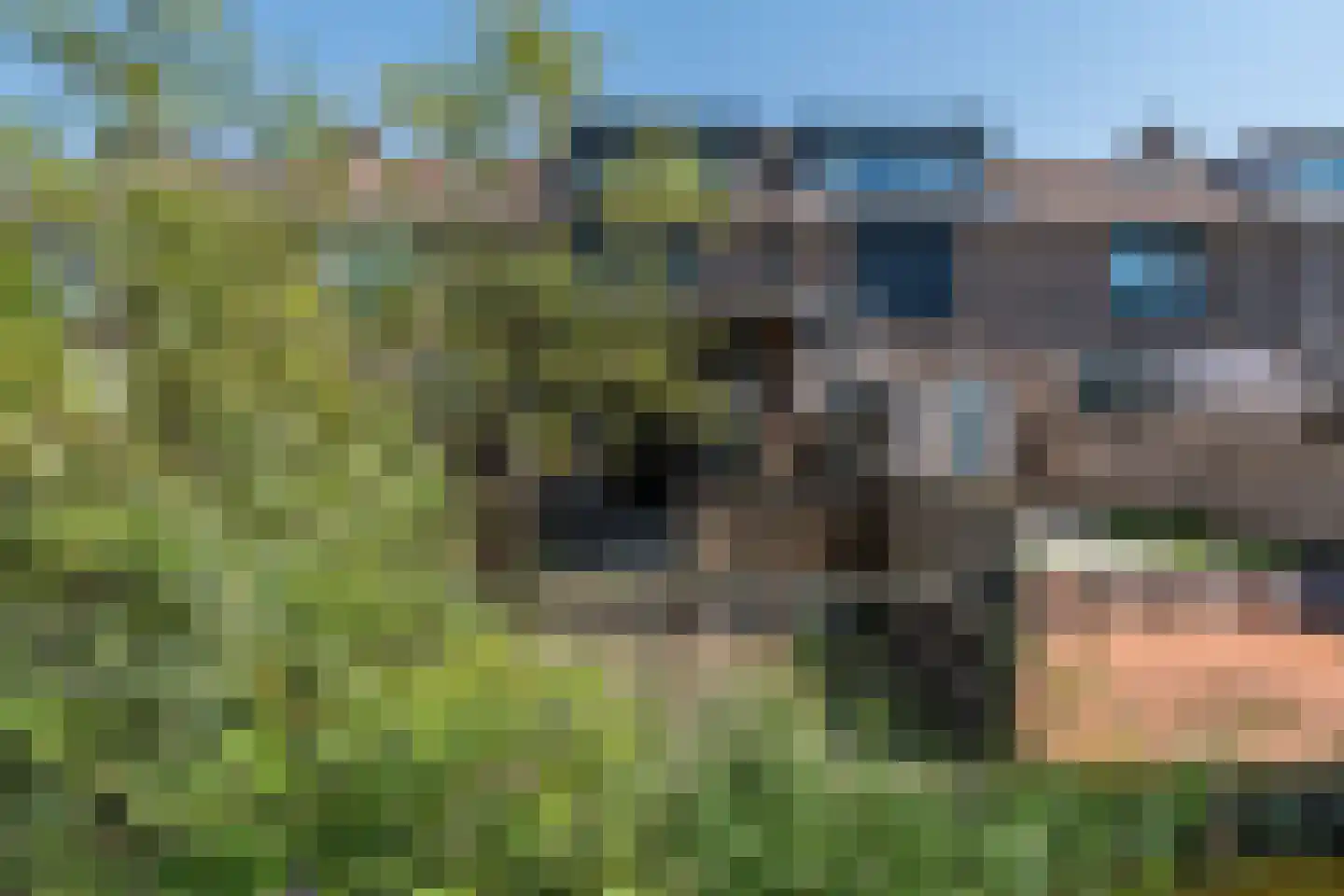 Kaasmaker 49 Assendelft thumbnail 40
