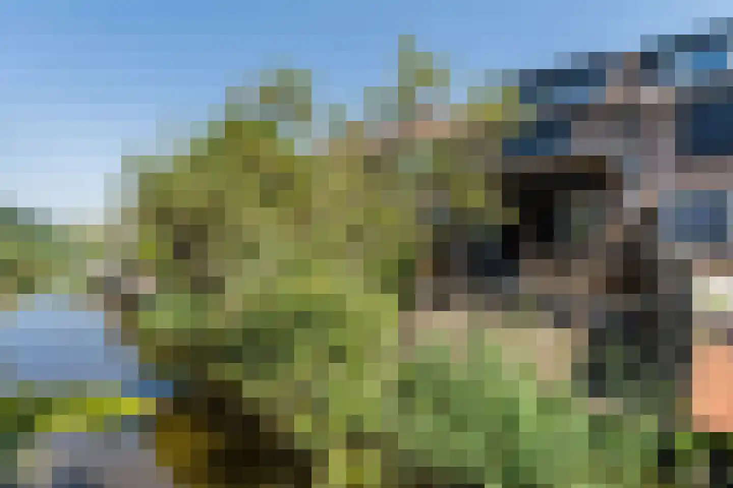 Kaasmaker 49 Assendelft thumbnail 5