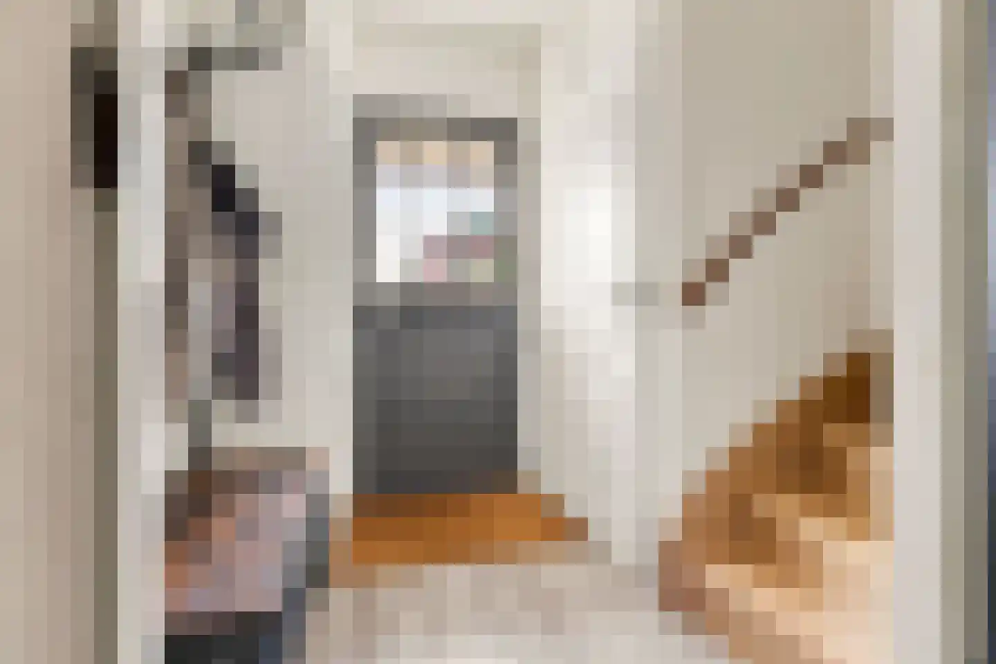 Kaasmaker 58 Assendelft thumbnail 17