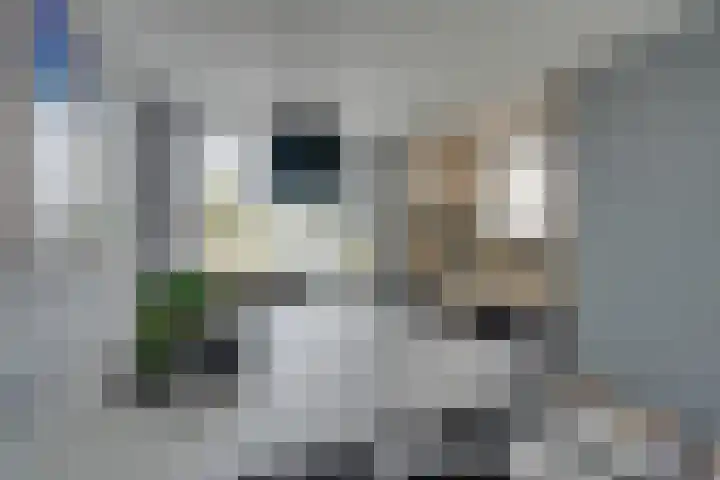 Kaasmaker 89 Assendelft thumbnail 15