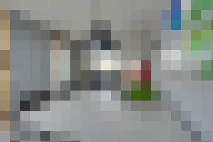 Kaasmaker 89 Assendelft thumbnail 16