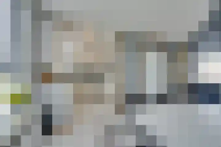 Kaasmaker 89 Assendelft thumbnail 17