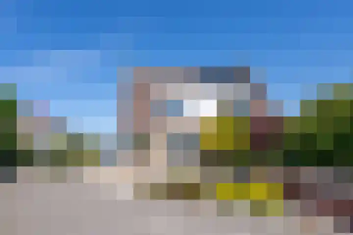 Kaasmaker 89 Assendelft foto 2