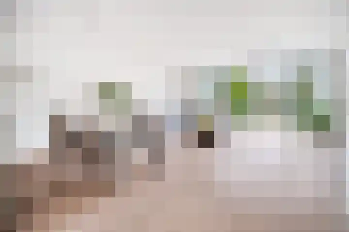 Kaasmaker 89 Assendelft thumbnail 26