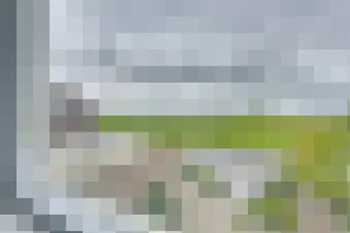 Kaasmaker 89 Assendelft thumbnail 29