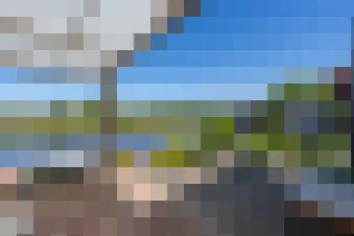 Kaasmaker 89 Assendelft foto 3