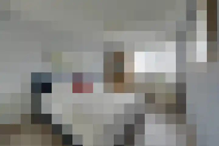 Kaasmaker 89 Assendelft thumbnail 30