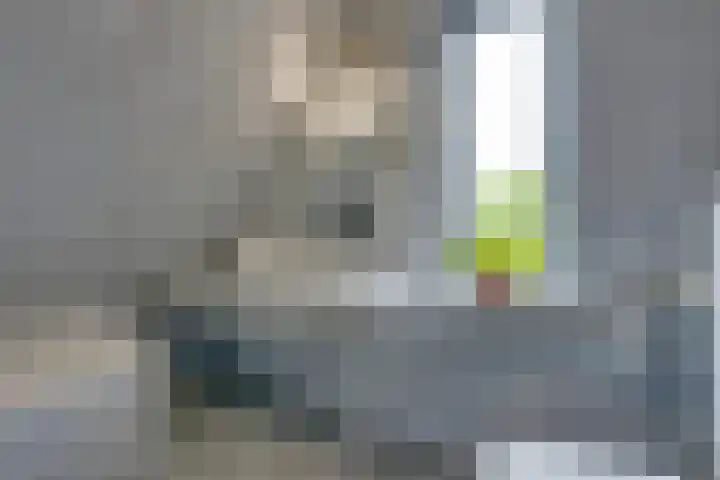 Kaasmaker 89 Assendelft thumbnail 33